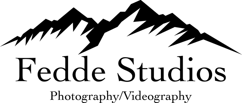 Fedde Studios logo